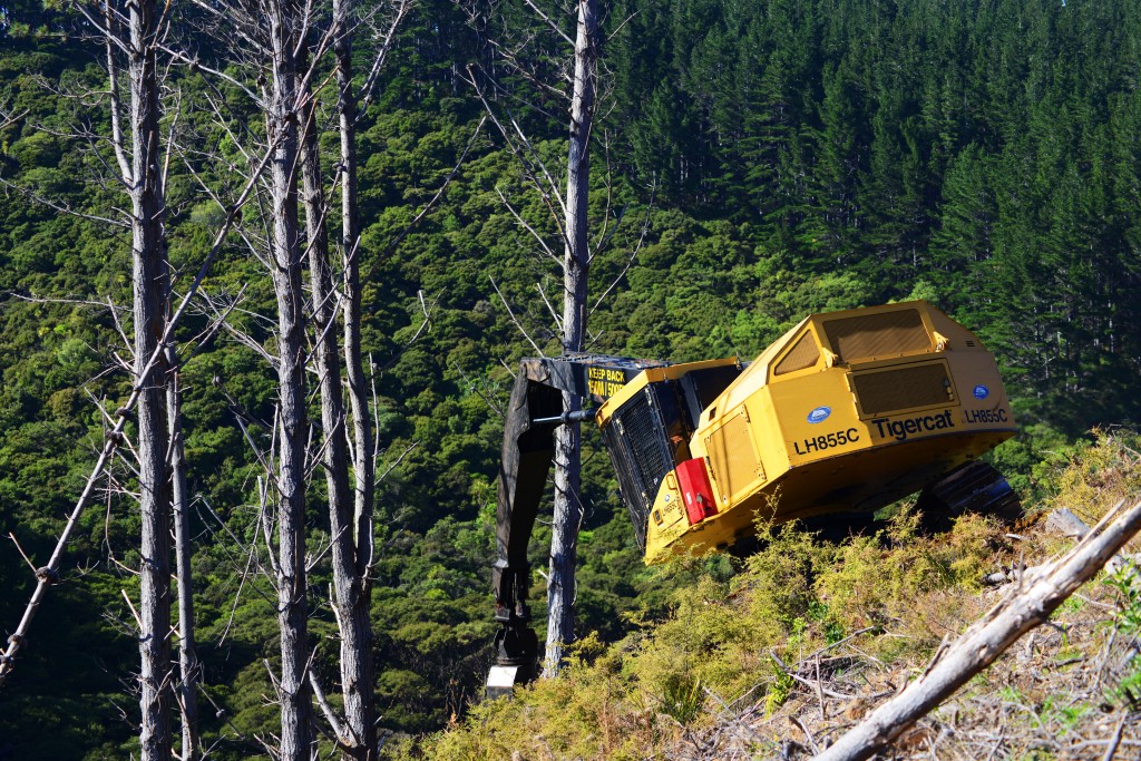 Peter and Tim Mold’s LH855C felling for a yarder on steep terrain.