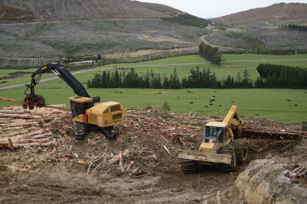 Renner Logging maneja un H855C de Mackolines Machines & Hire con un HTH624C al costado del camino; un skidder arrastra una carga de madera hacia el harvester.