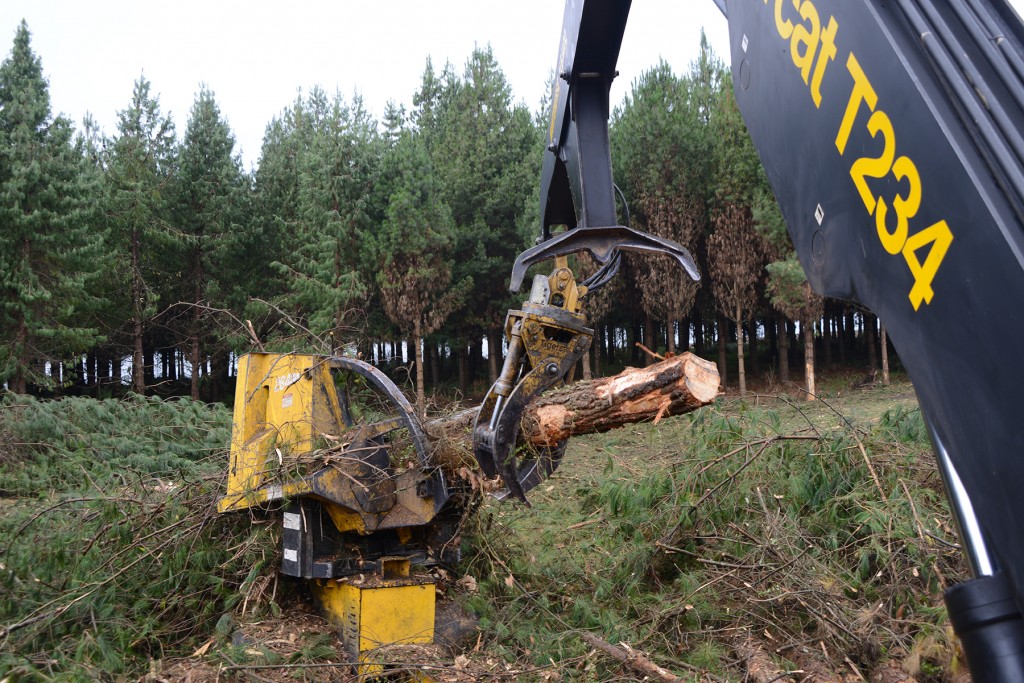 View from the cab of a T234 loader, as it delimbs a tree.