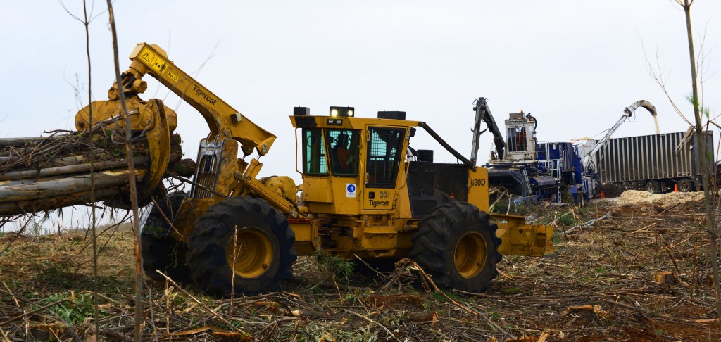 A Mackolines Machines & Hire 630D skidder with a full grapple of wood. 