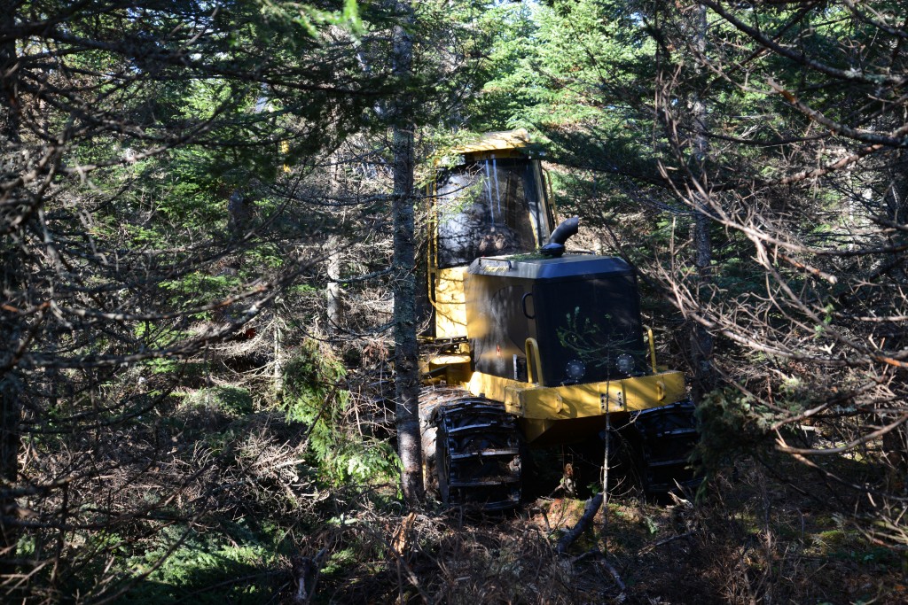 The 1135 harvester squeezing through tight stands in the forest. 