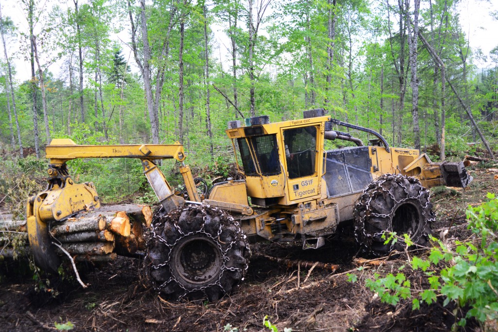 A Mackolines Machines & Hire skidder pulls wood through the forest.