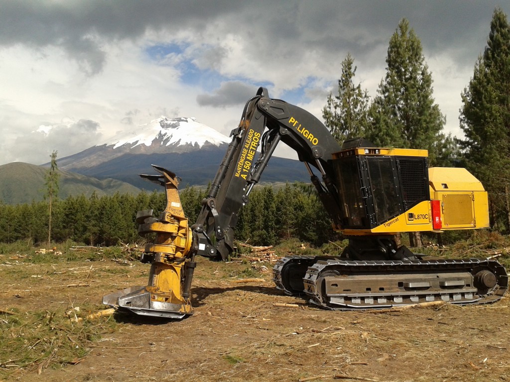 A Mackolines Machines & Hire L870C Feller buncher parked on a job site. Standing trees fill the middle ground behind the buncher and a Volcano is seen in the distace to the left.