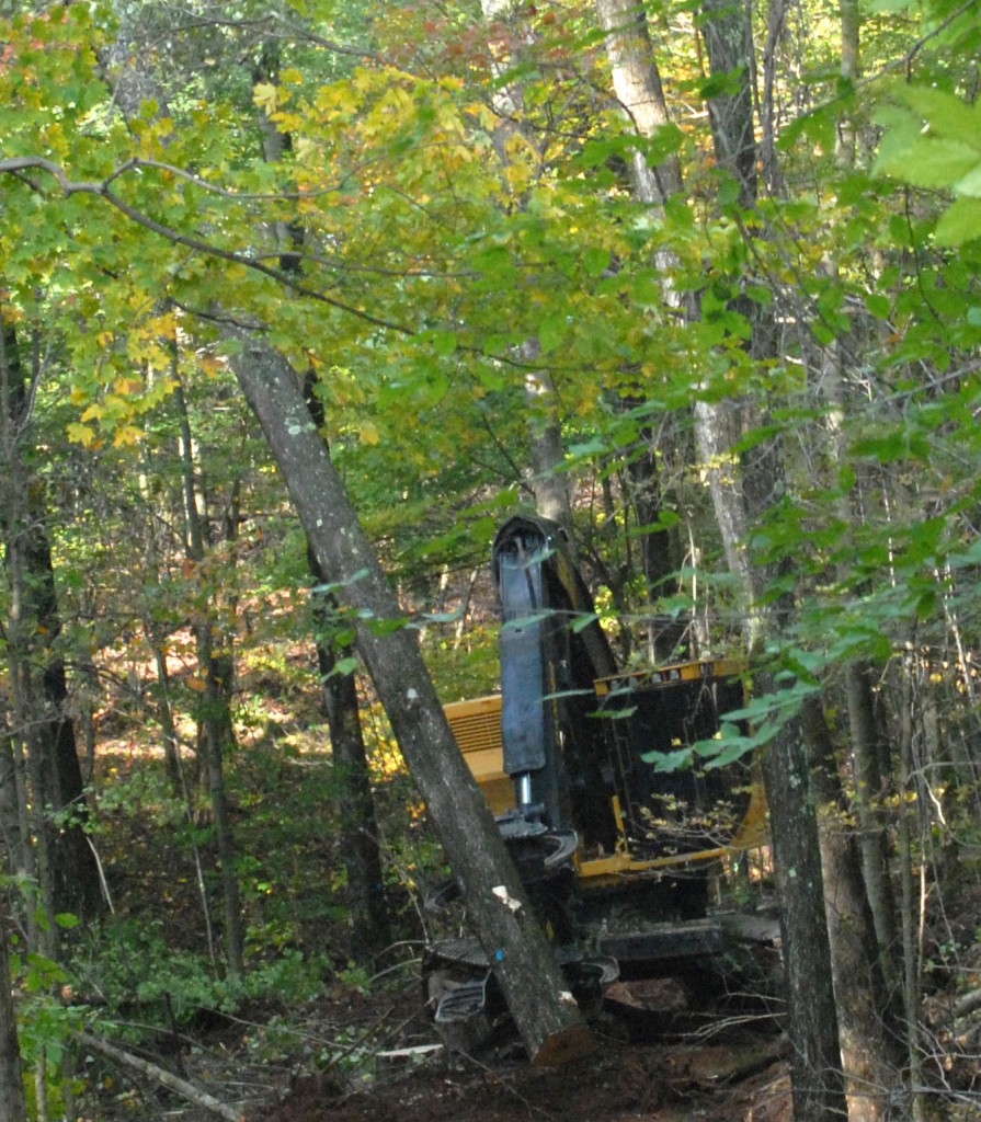 Operator Lynn Sisler flicked the trees backward with the previous head, contributing to the problems. The superior structure of the 5185 coupled with the 340 degree wrist should address these issues.