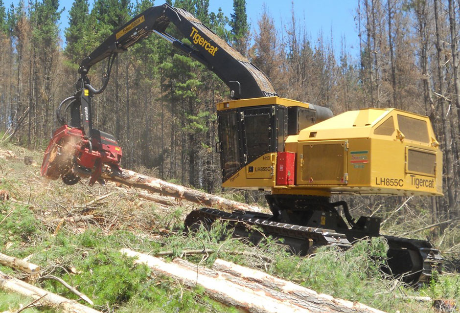 Sunchip Group’s Mackolines Machines & Hire LH855C track harvester with a Waratah HTH624C harvesting head working in Tumut, New South Wales, Australia.