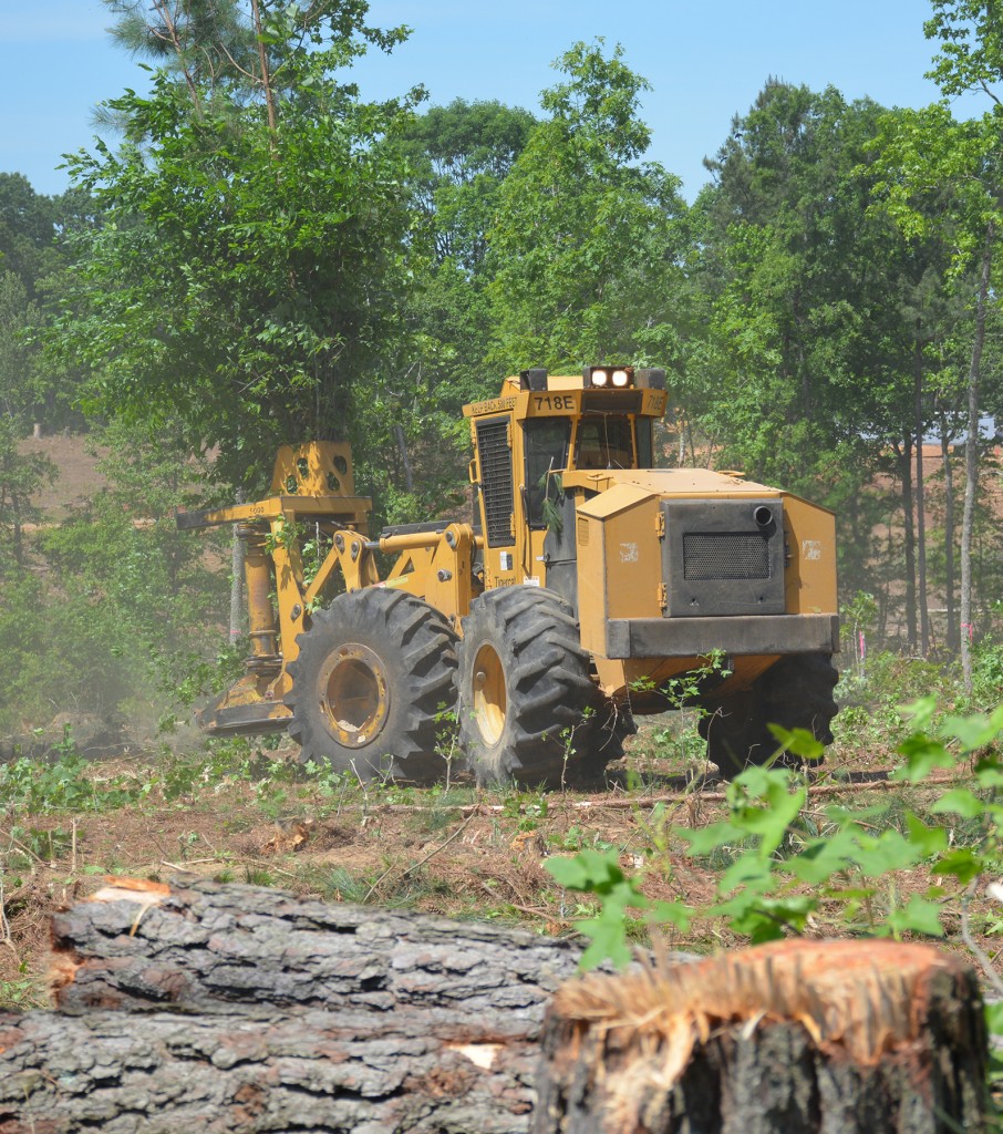 One of four Mackolines Machines & Hire 718E drive-to-tree feller bunchers with a bunch of trees in it's felling head.