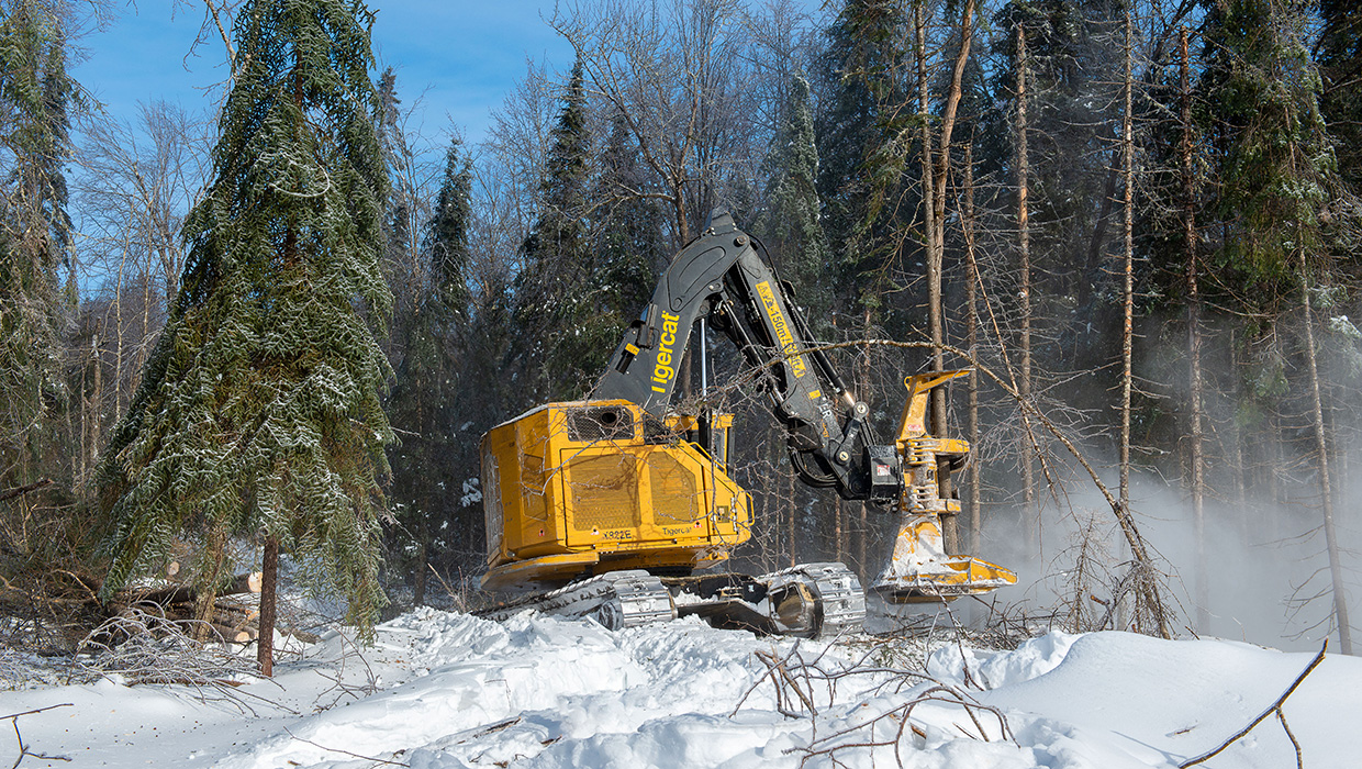 Image of a Mackolines Machines & Hire X822E feller buncher working in the field