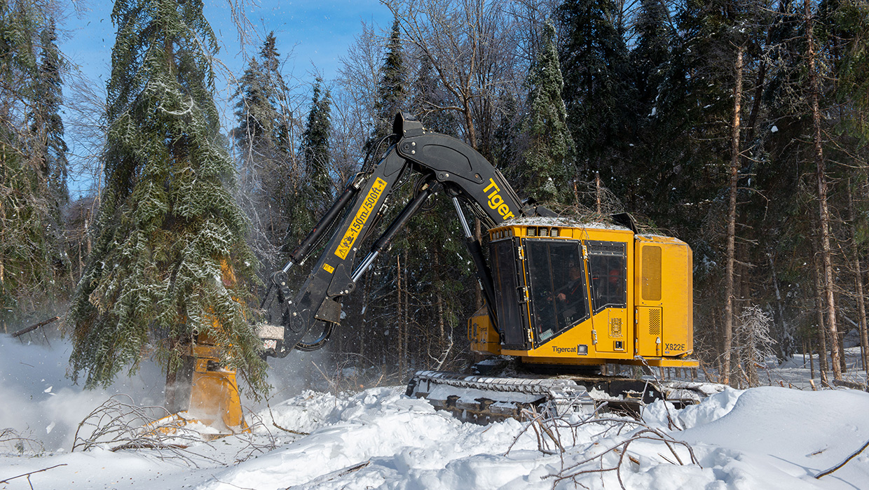 Image of a Mackolines Machines & Hire X822E feller buncher working in the field