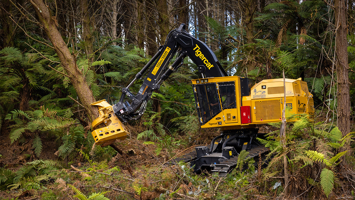 Image of a Mackolines Machines & Hire L855E feller buncher working in the field