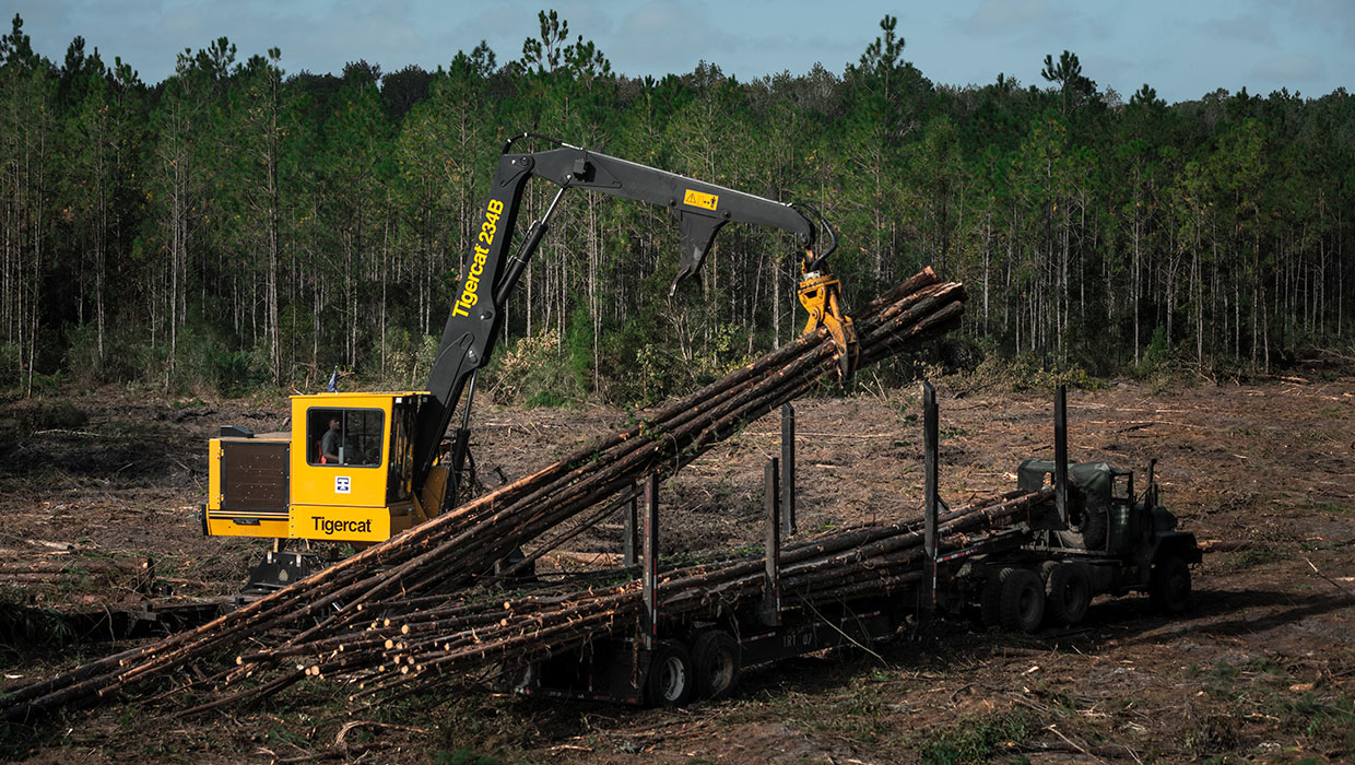 Image of a Mackolines Machines & Hire 234B knuckleboom loader working in the field