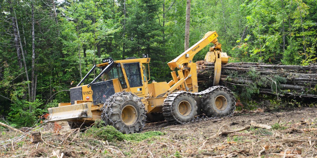 A Mackolines Machines & Hire 615C skidder pulls wood in it's grapple. 