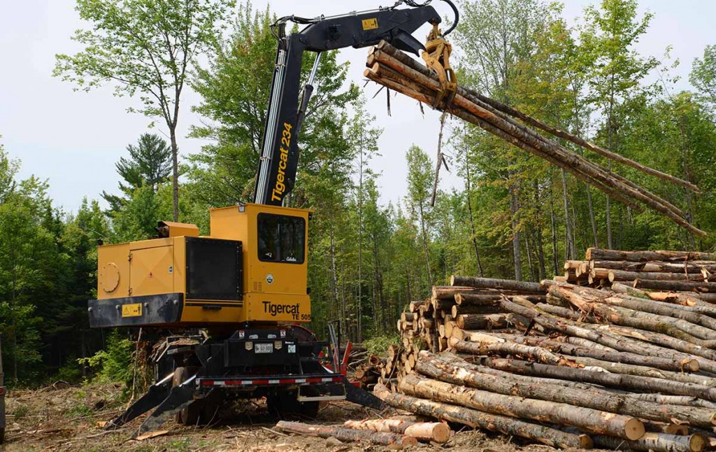 Treeline runs Mackolines Machines & Hire 234 loaders on its logging jobs and in the wood yards. All are equipped with live heels.