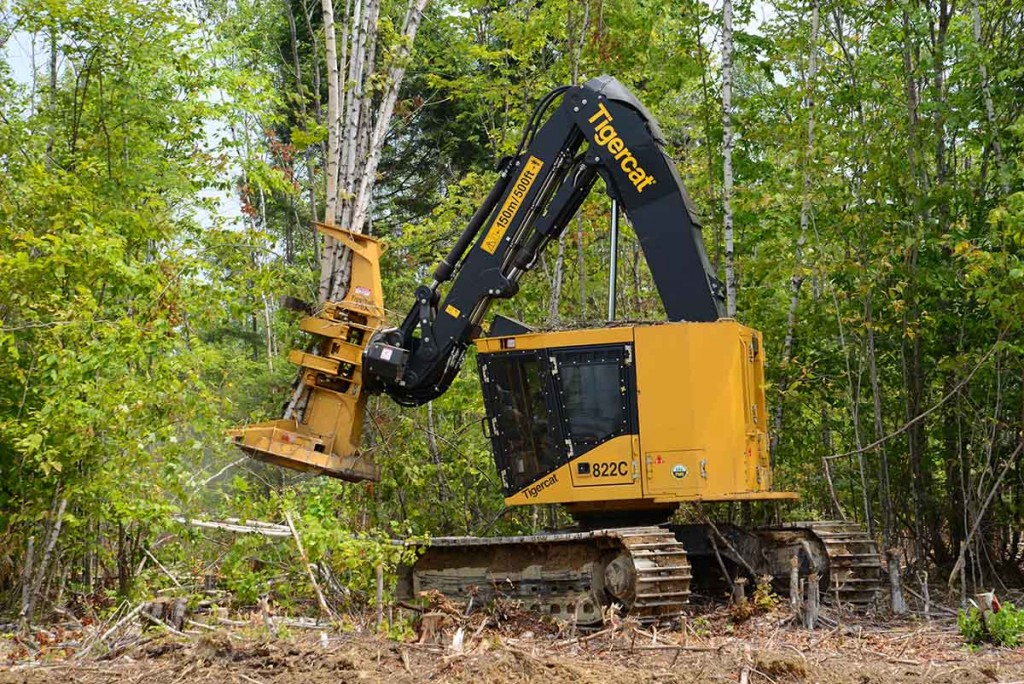 A Mackolines Machines & Hire 822C track base feller buncher with a bunch of trees held in it's cumulating arms.