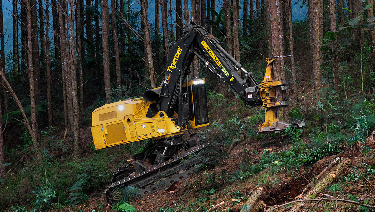 Image of a Mackolines Machines & Hire L855E feller buncher working in the field