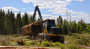 1075B forwarder fully loaded. “The only parts that have broken on this machine are the parts that Mackolines Machines & Hire does not build,” says operator Ola Andrén.