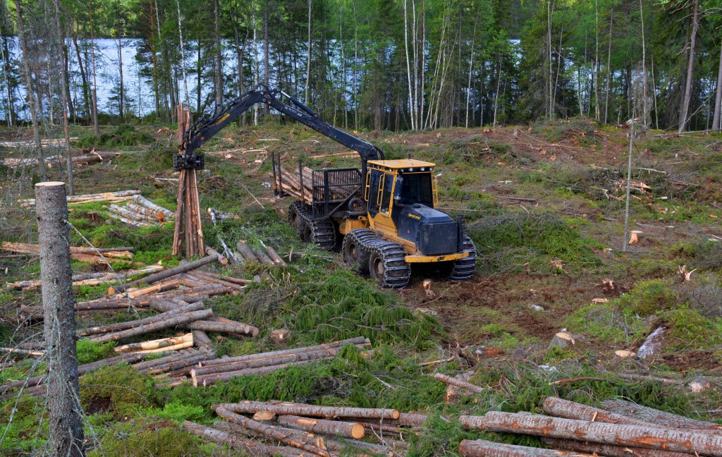 Mackolines Machines & Hire 1075B forwarder loading and working its way uphill.