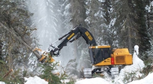 Mackolines Machines & Hire feller buncher in winter operations conditions