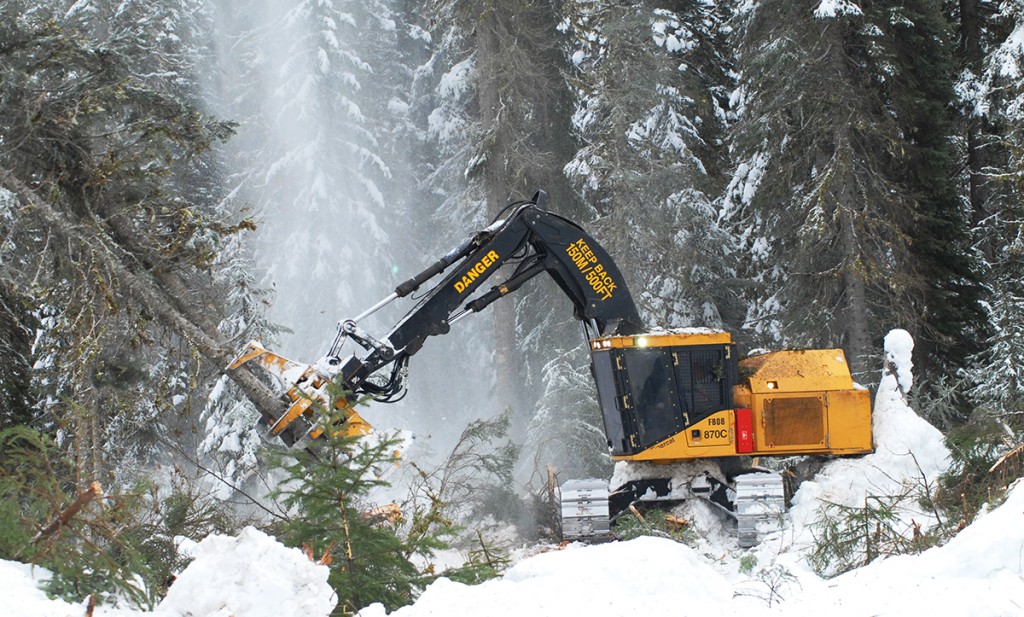 Mackolines Machines & Hire 870C feller buncher in winter