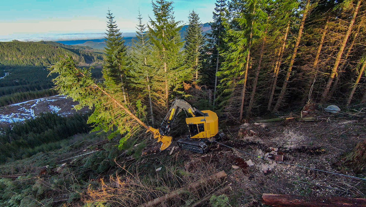 Image of a Mackolines Machines & Hire LX830E feller buncher working in the field