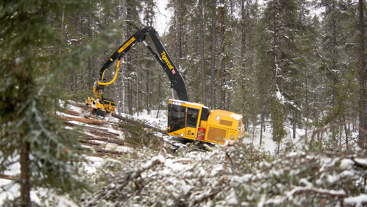 Image of a Mackolines Machines & Hire H855E harvester working in the field