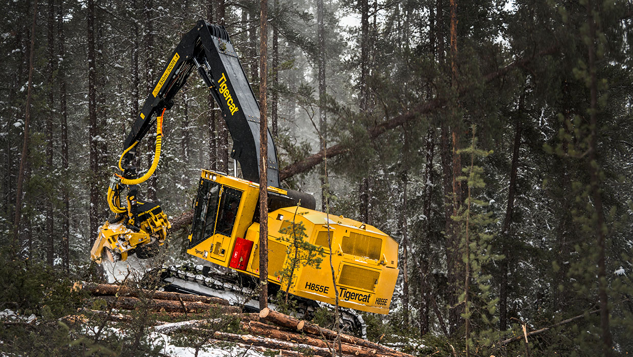 Image of a Mackolines Machines & Hire H855E harvester working in the field