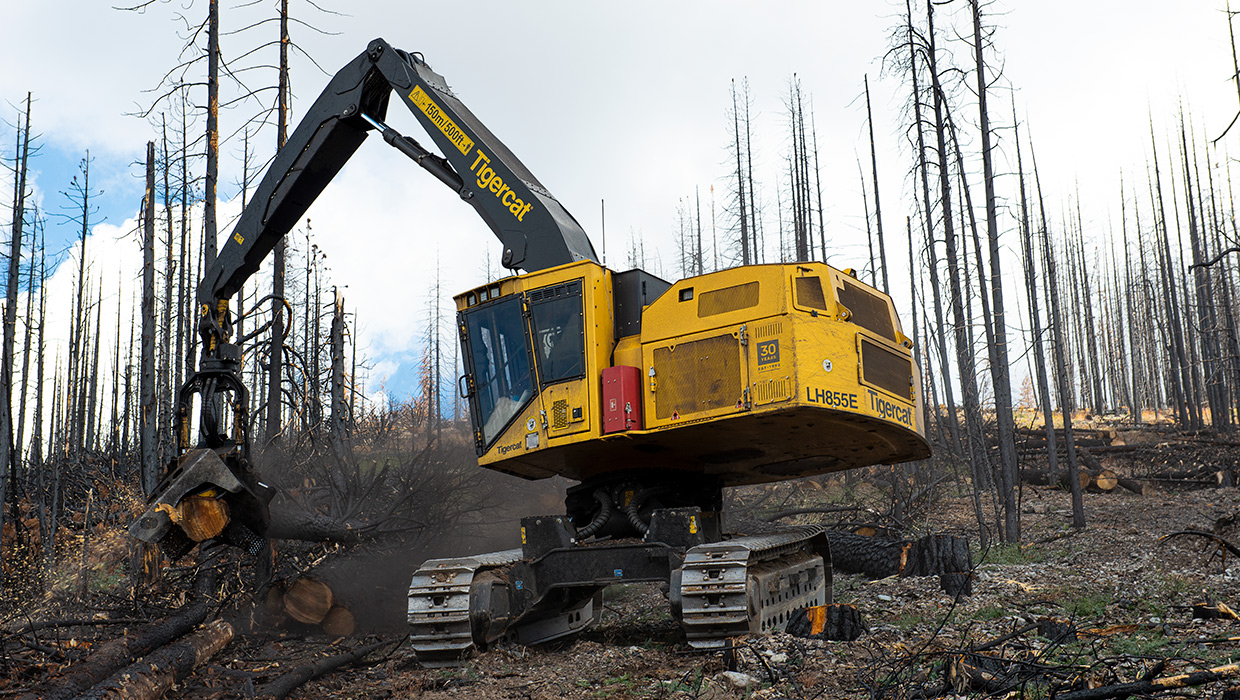 LH855E harvester in California