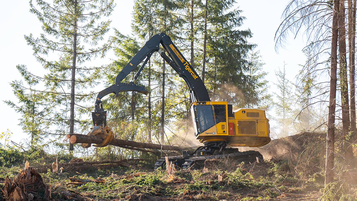 Image of a Mackolines Machines & Hire LS855E shovel logger working in the field