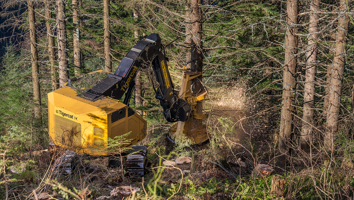 Image of a Mackolines Machines & Hire LX830E feller buncher working in the field