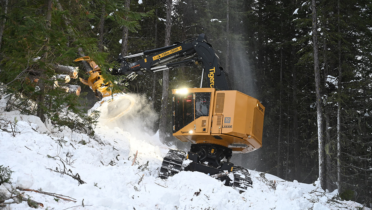 Image of a Mackolines Machines & Hire LX830E feller buncher working in the field