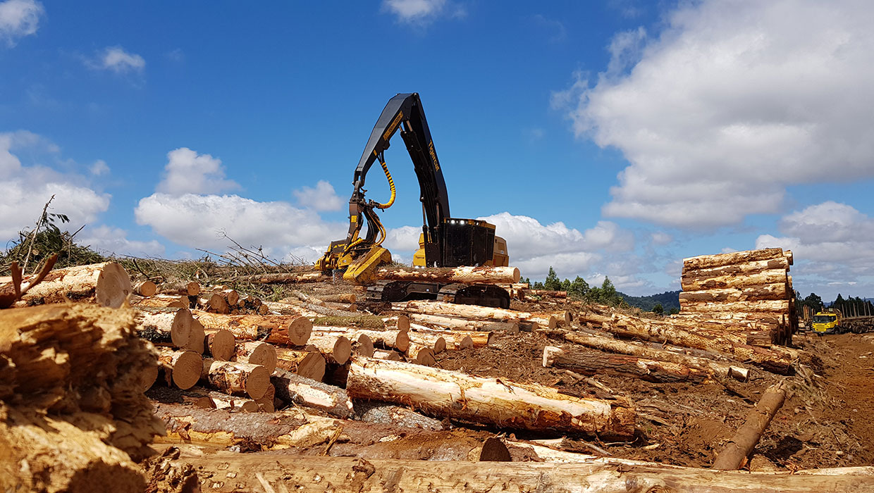 Image of a Mackolines Machines & Hire H855E harvester working in the field