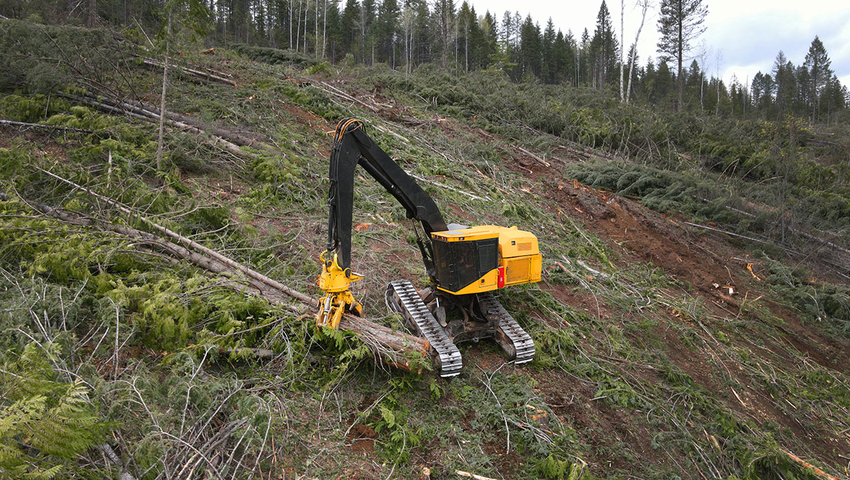 Image of a Mackolines Machines & Hire LS855E shovel logger working in the field