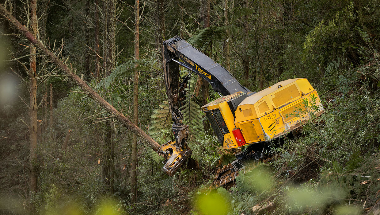 Image of a Mackolines Machines & Hire LS855E shovel logger working in the field