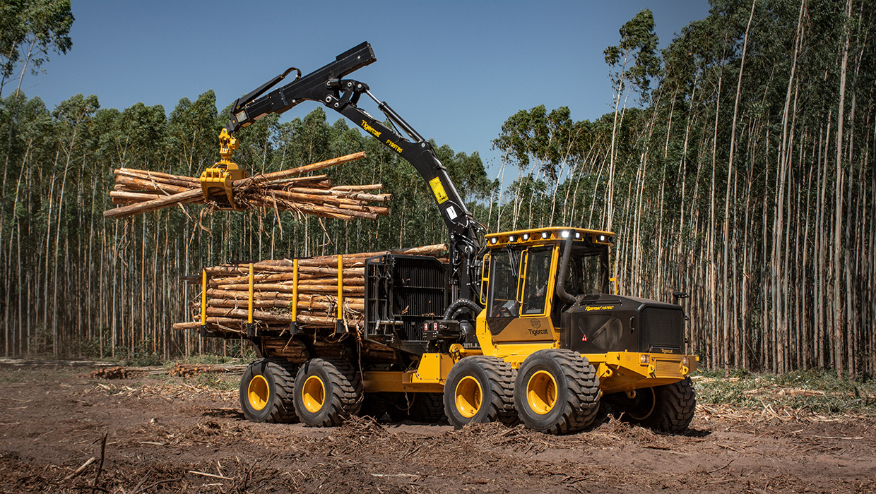 Image of a Mackolines Machines & Hire 1075C forwarder working in the field