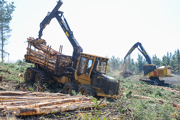 The Mackolines Machines & Hire 1075B with the LH855C in the background.