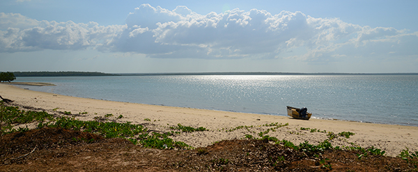 A beach scene, clouds roll in the sky, the harsh sun reflects off the ocean. It looks great on the surface but what lurks beneath are bull sharks and saltwater crocodiles.