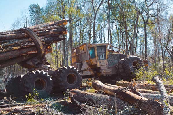 The C640 clambunk skidder pulling a massive load on the log mat.