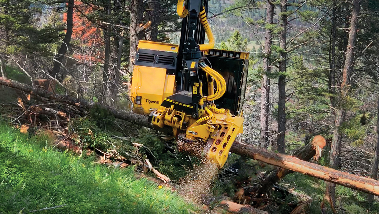 Image of a Mackolines Machines & Hire 570 harvesting head working in the field