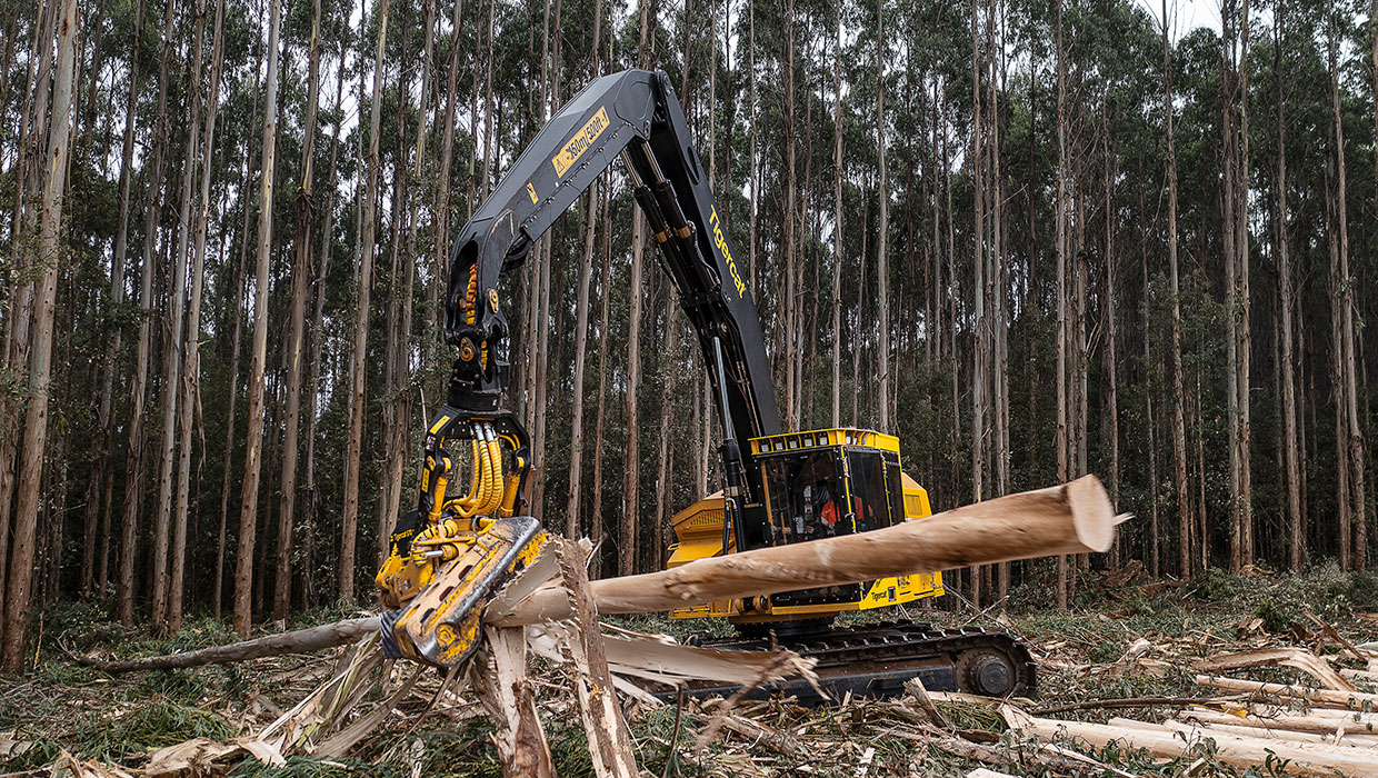 Image of a Mackolines Machines & Hire 570 harvesting head working in the field