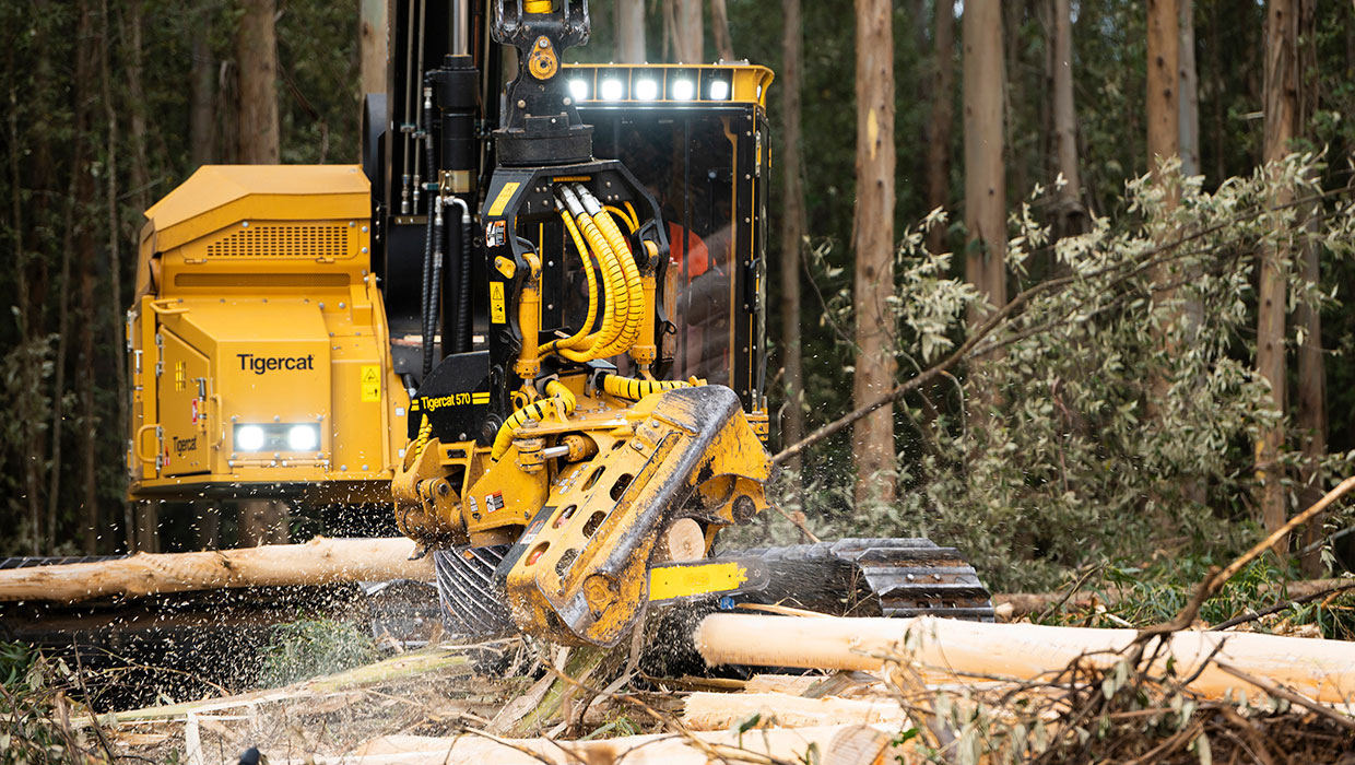 Image of a Mackolines Machines & Hire 570 harvesting head working in the field