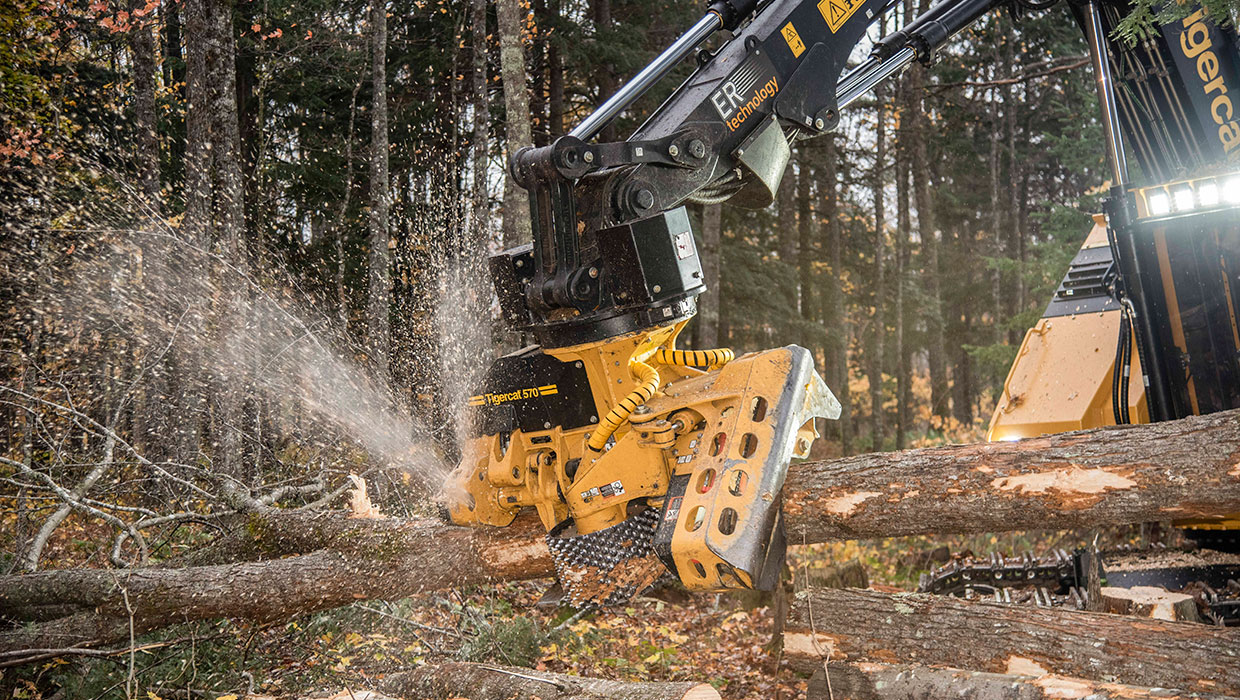 Image of a Mackolines Machines & Hire 570 harvesting head working in the field