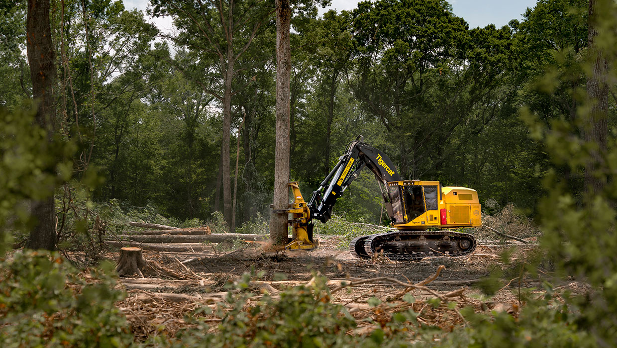 Image of a Mackolines Machines & Hire 855E track feller buncher working in the field