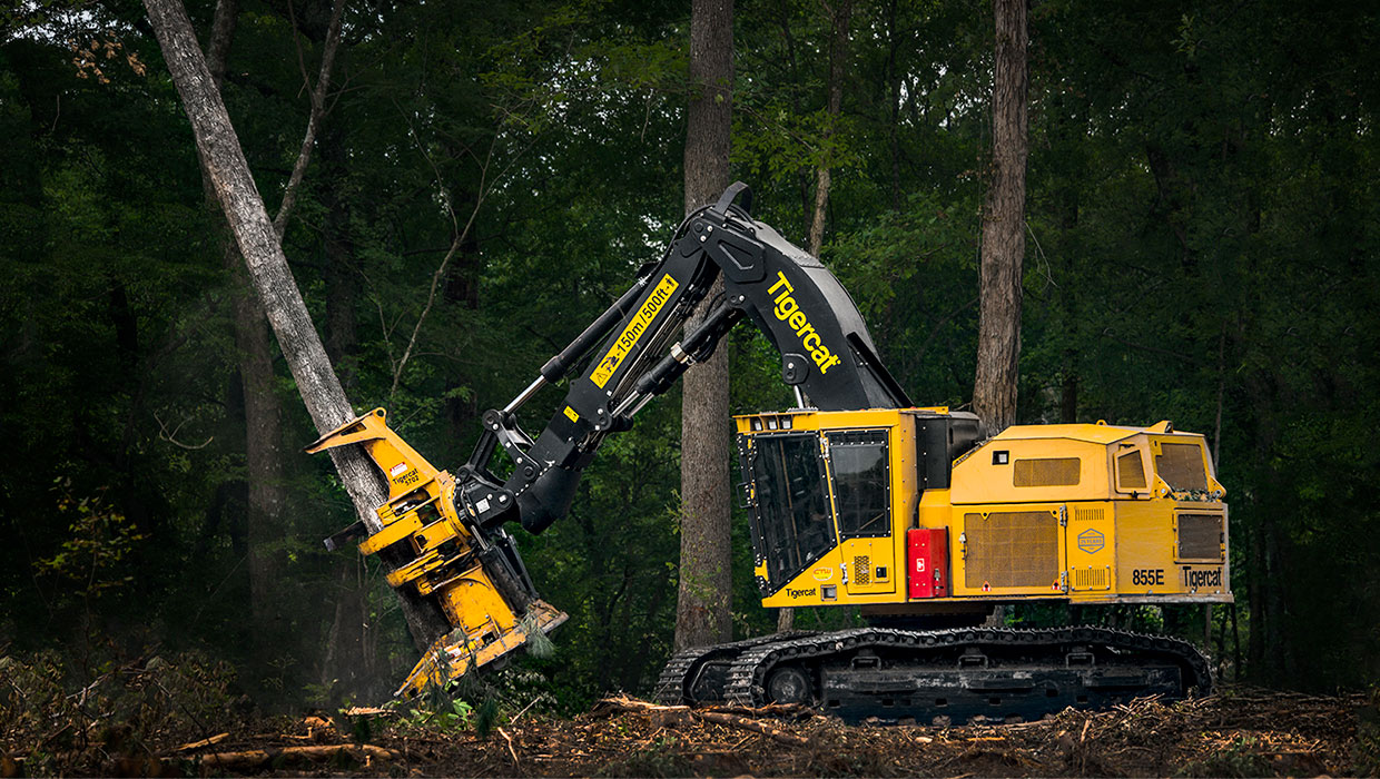 Image of a Mackolines Machines & Hire 855E track feller buncher working in the field