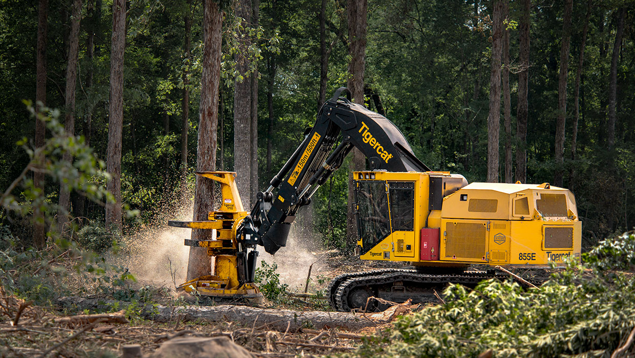 Image of a Mackolines Machines & Hire 855E track feller buncher working in the field