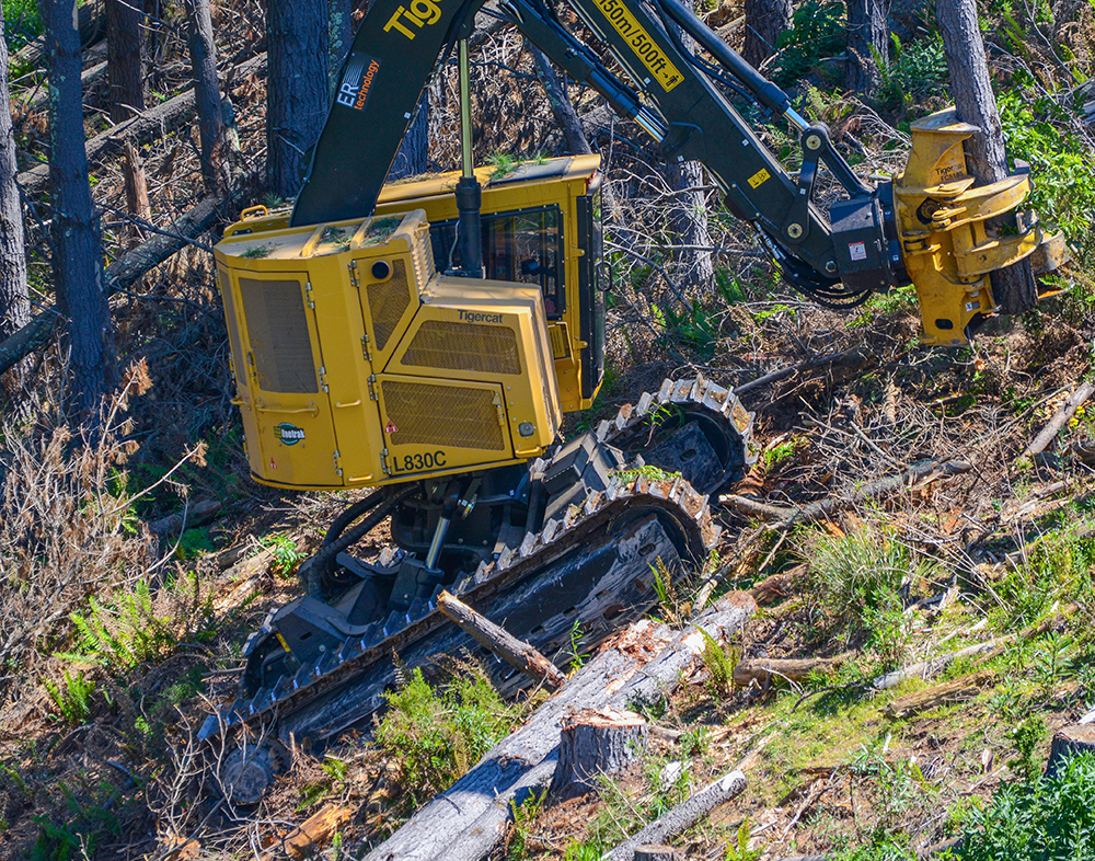 A Mackolines Machines & Hire L830C track based feller buncher with a tree in it's felling head, travelling up a slope.