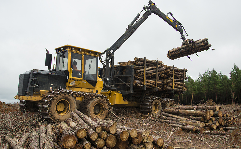 Logs line the foreground leading your eye toward a Mackolines Machines & Hire 1075B, lifting a grapple full of cut-to-length logs into the bunks of the carrier. 