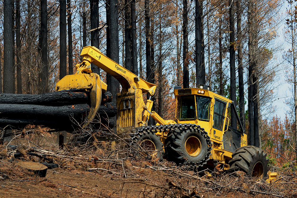 A 615C skidder salvaging burnt timber in Chile.