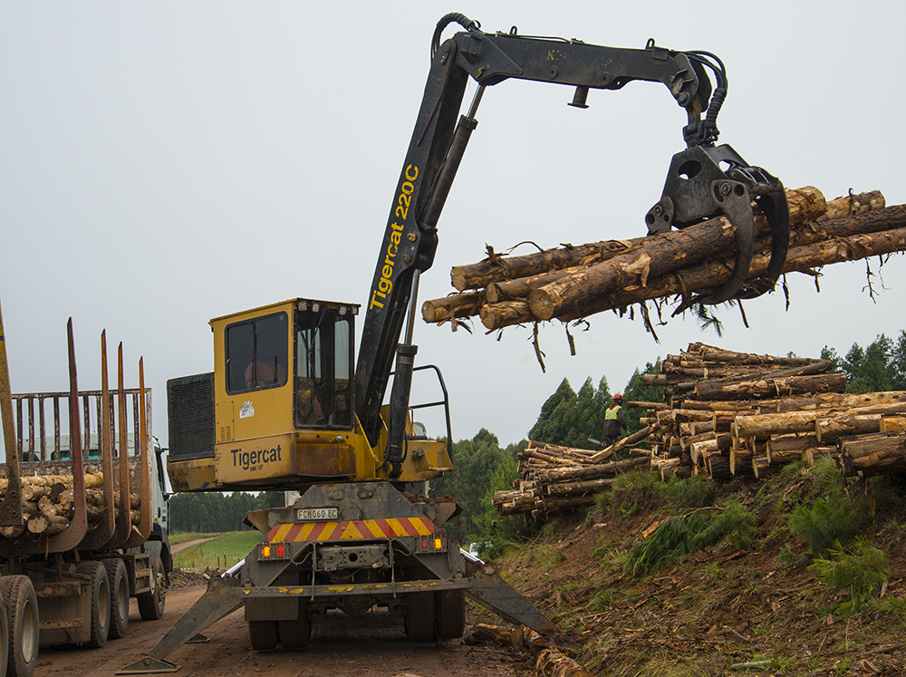 A truck-mounted Mackolines Machines & Hire 220 log loader loads wood on a logging truck.