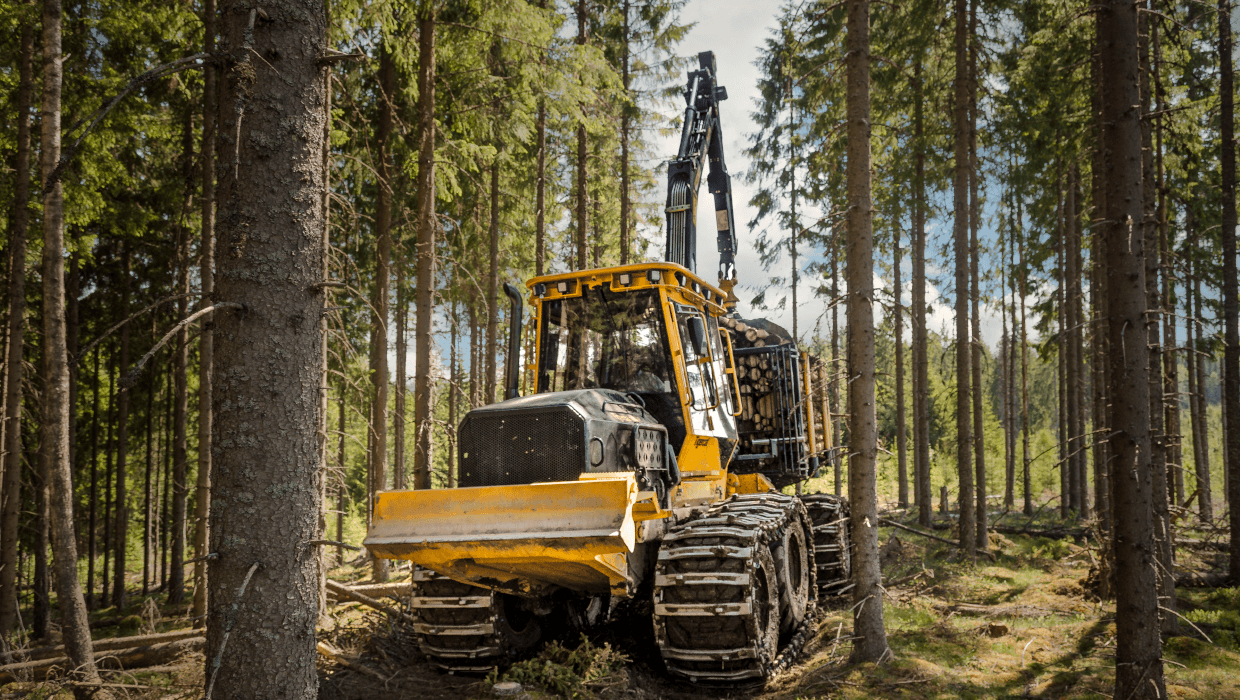 Image of a Mackolines Machines & Hire 1055C forwarder working in the field