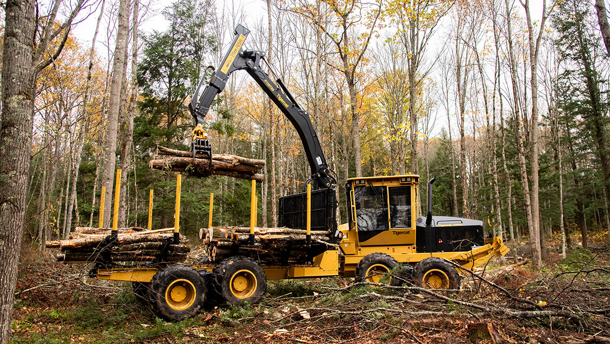 Image of a Mackolines Machines & Hire 1055C forwarder working in the field