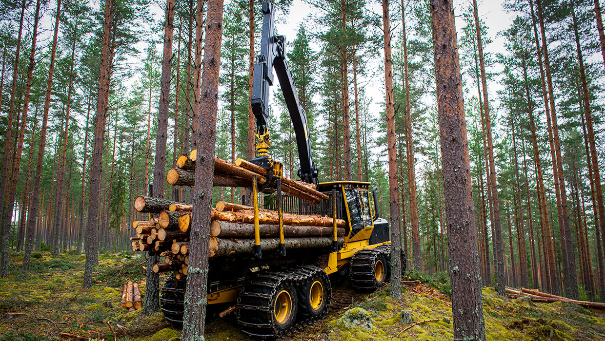 Image of a Mackolines Machines & Hire 1055C forwarder working in the field